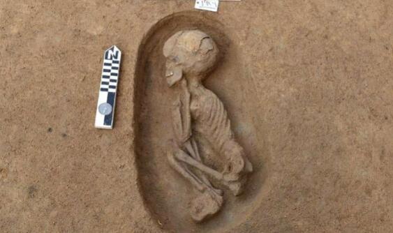 埃及出土8000年古墓穴 专家：里面还有儿童遗骸