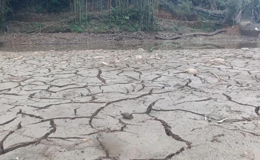 墨西哥干旱引发多地山火 国内210座主要水库中无一蓄满
