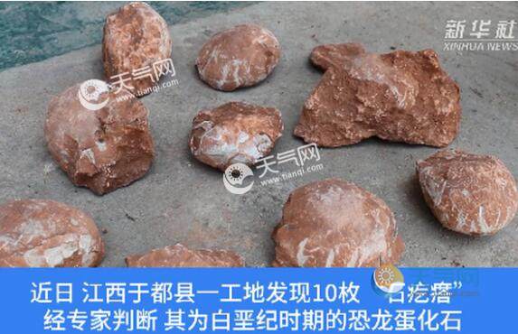 江西工地挖出6600万年前恐龙蛋化石是怎么回事 专家:白垩纪的