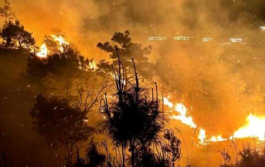 林草局：今年一季度发生森林火灾398起死亡9人