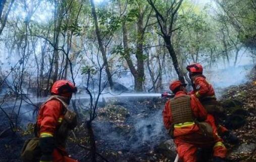 林草局：今年一季度发生森林火灾398起死亡9人