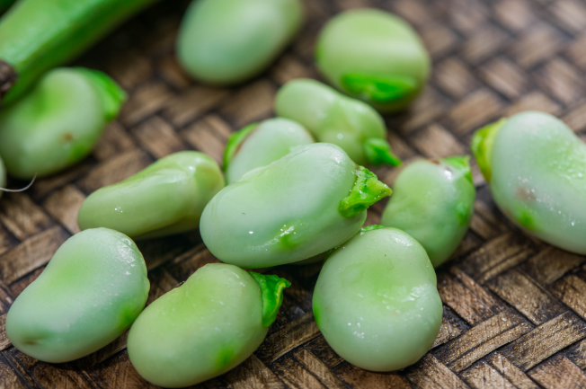 立夏吃蚕豆是什么意思 立夏为什么要吃蚕豆
