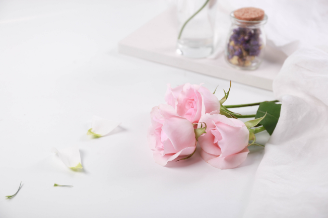 粉玫瑰代表什么 粉玫瑰的寓意和花语