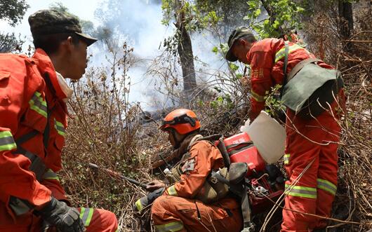 云南大理森林火灾最新消息今天 目前已投入1413人力参与灭火