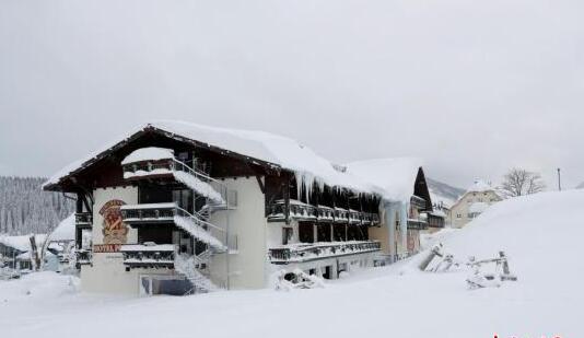 阿尔卑斯山发生雪崩致12人丧生 救援工作仍在进行中