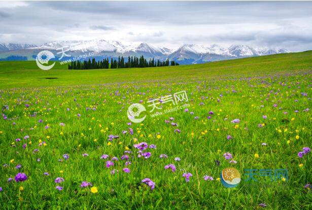 6月中旬适合去哪里旅游 六月旅游气候比较凉快的地方