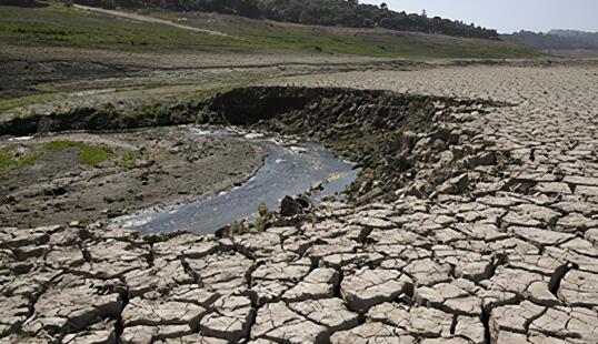 美国加州41个县进入干旱紧急状态 专家：未来可能引发严重山火