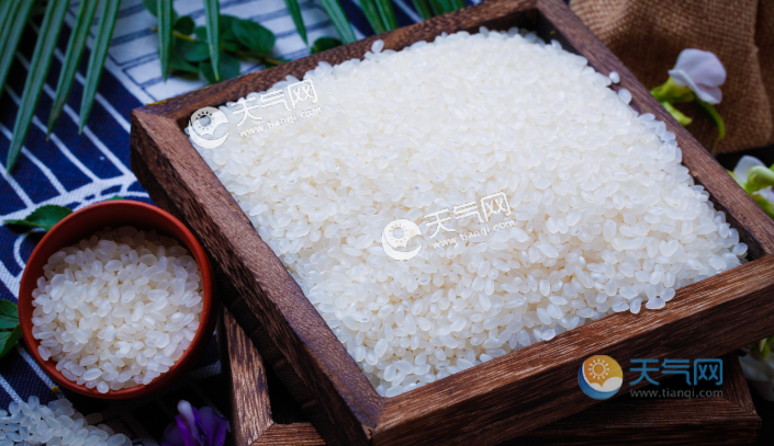 粳米是什么 粳米是一种什么米