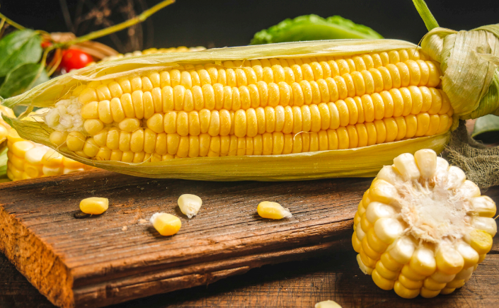 哪个朝代能吃到玉米 中国哪个朝代的人可以吃玉米