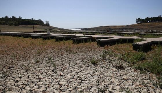 加州或迎史上最干旱一年 州长宣布进入干旱紧急状态