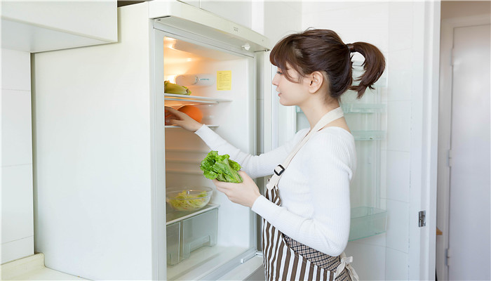 冰箱为什么要定期除霜 冰箱为啥要除霜呢