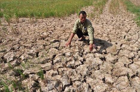 内蒙古气象局:5月份内蒙古干旱面积逼近5成