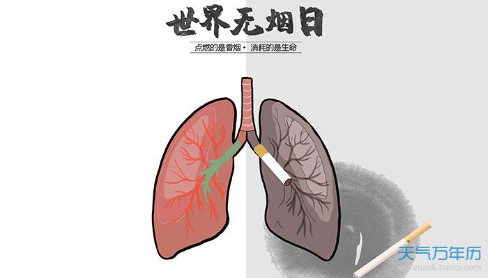2021学校无烟日宣传标语 世界无烟日校园禁烟宣传标语