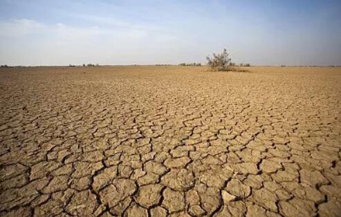 内蒙古气象局:5月份内蒙古干旱面积逼近5成