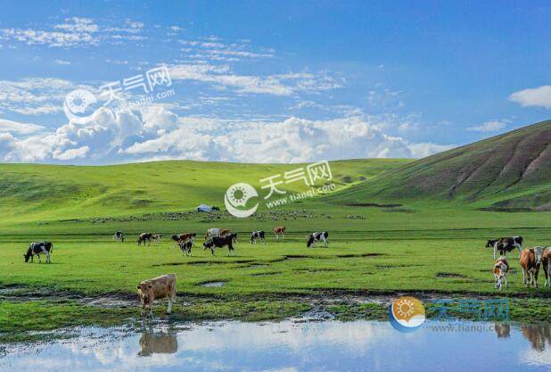 2021暑假去草原旅游哪里好 暑假旅行这些草原风光美如天堂 