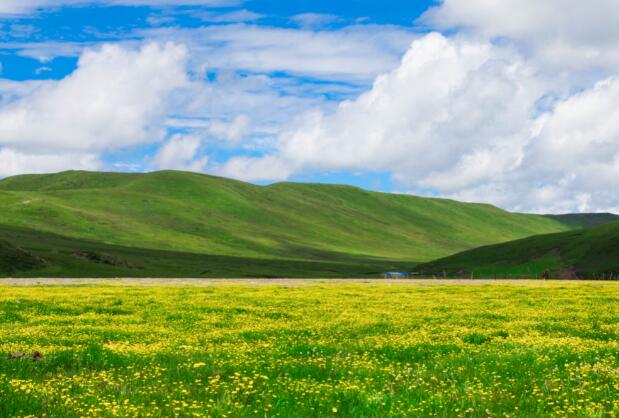 2021暑假去草原旅游哪里好 暑假旅行这些草原风光美如天堂