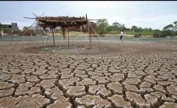 云南干旱全省60万余人受灾 普洱玉溪等地受旱面积超10万亩