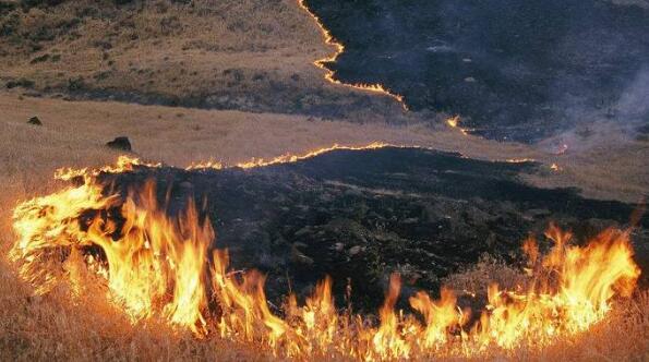 蒙古国发生草原火灾过火面积3500公顷 目前大火已被全部扑灭