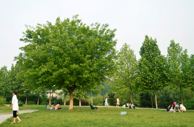 2021山东高考志愿填报时间表 2021山东高考怎么填志愿