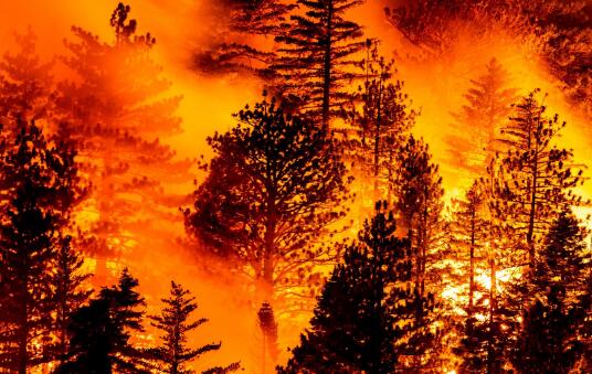 加州再次山火过火面积40.5公顷 预计6月到8月山火异常多