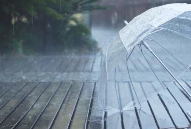广东“龙舟水”时节新一轮暴雨上线 广州局部暴雨最高气温34℃