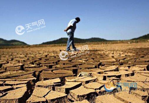 巴西遭遇91年来最严重的干旱 农业部发布首个紧急干旱