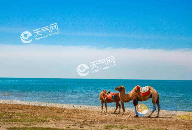 2021高考完去哪里旅游便宜又好玩 高考后适合学生党穷游去处