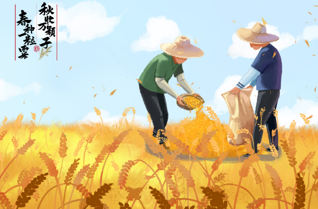 丰收节是中国的传统节日吗 丰收节的来源和意义