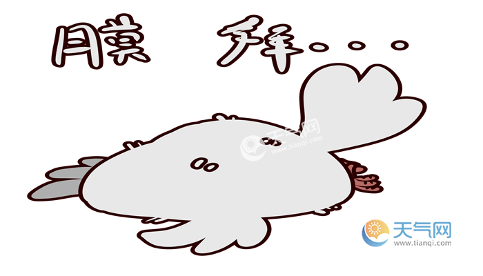 Orz是什么意思orz是什么梗 天气网