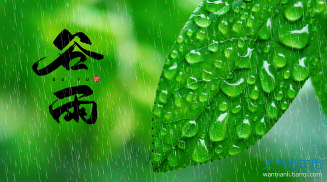 2022年谷雨时间几点几分几秒 2022谷雨是哪一天的什么时候