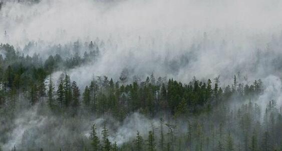 俄罗斯刚刚扑灭一处大型森林火灾 火灾面积高达32508公顷