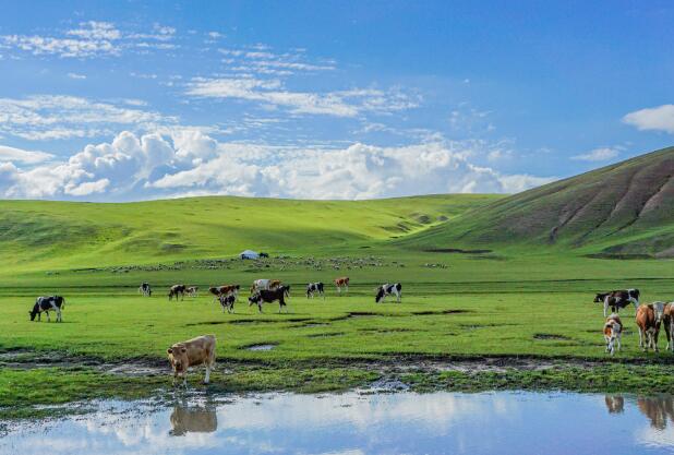 暑假内蒙古旅游哪里好玩 2021暑期内蒙古玩转大草原攻略