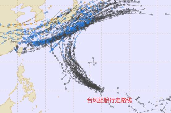 5号台风路径实时发布系统最新消息 5号台风蔷琵什么时候生成