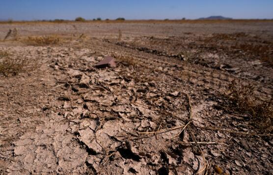 美国西部遭20年来最干旱天气 凤凰城局地气温高达46℃