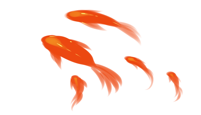 家里养什么鱼好 一般家里养什么鱼合适