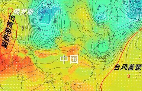 5号台风蔷琵最新消息今天 未来最强可达强热带风暴级