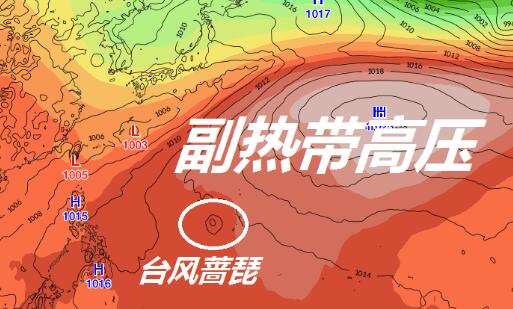 5号台风台风最新消息2021 第5号台风蔷琵登陆时间地点预测