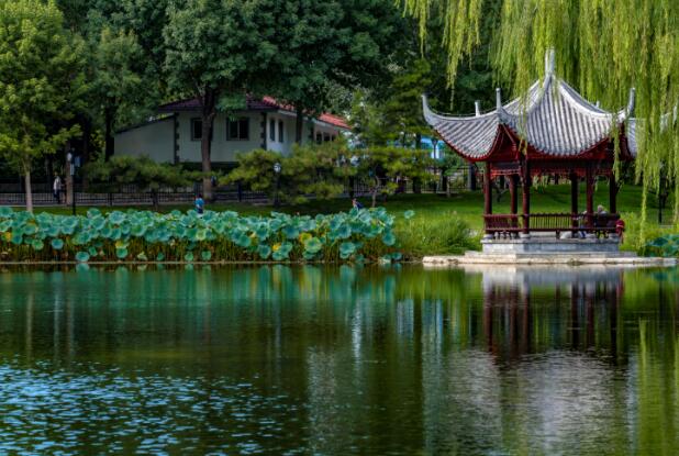 7月1日北京公园延迟开园有哪些 7月1日北京公园延迟开园时间汇总