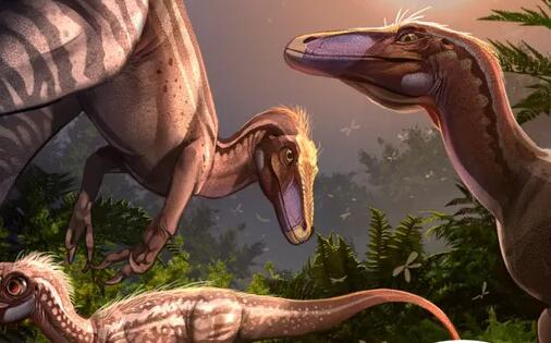 贵州首次发现恐爪龙类足迹 专家：侏罗纪公园同款恐龙