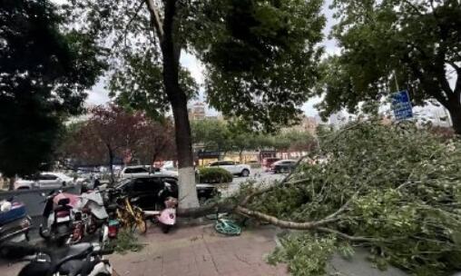 济南市发布雷电黄色预警 街头多辆电动车被大风吹倒