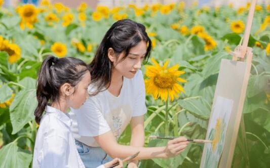 重庆一小学楼顶种14000株向日葵 老师:希望孩子们像向日葵一样向阳而生