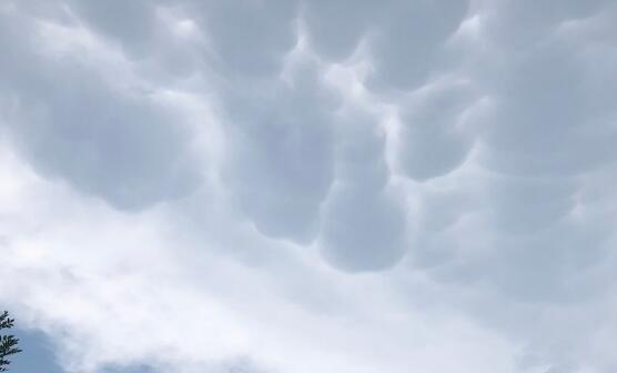 北京出现大片乳状云是怎么回事 乳状云具体是怎么形成的