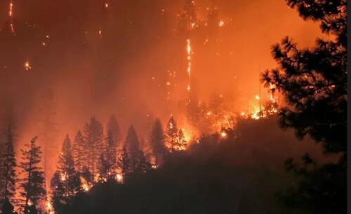 加拿大高温干燥致多地发生山火 目前213个火场正在燃烧