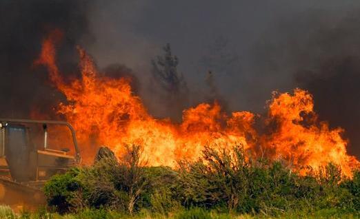 今年以来加州已发生3500多起山火 平均每年有702人死于高温