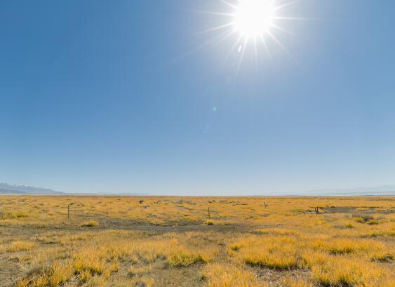 关于大暑的诗词诗句大全 描写大暑时节的古诗词