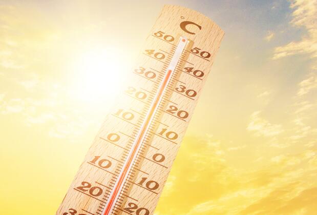 中伏是什么意思含義 中伏是什么時候開始