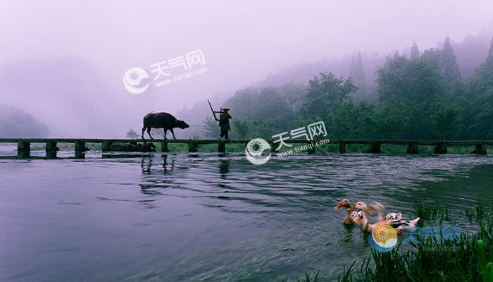 2021丽水旅游景点哪里好玩 丽水好玩旅游景点推荐