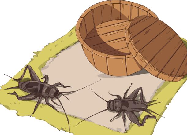 大暑的寓意是什么 大暑节气代表什么