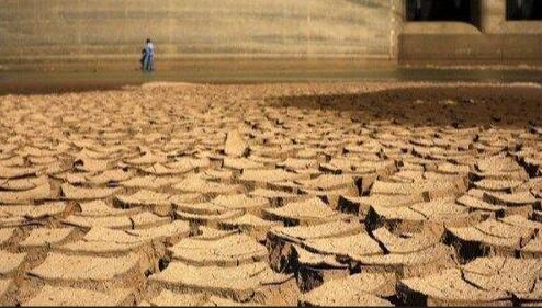 巴西遭遇百年以来最严重干旱 咖啡产量预计比2020年减少近1500万袋