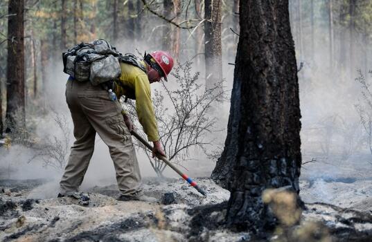 美国多州饱受山火肆虐进入紧急状态 目前仍有大约71场山火在燃烧